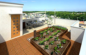 菜園とBBQのあるプラン