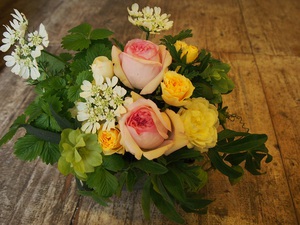 ワークショップ